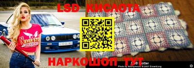 гидропоника Краснознаменск