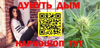 гидропоника Краснознаменск