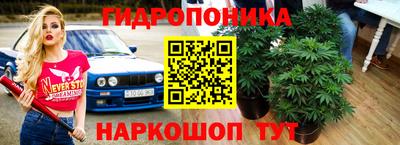 эйфоретик Краснокаменск