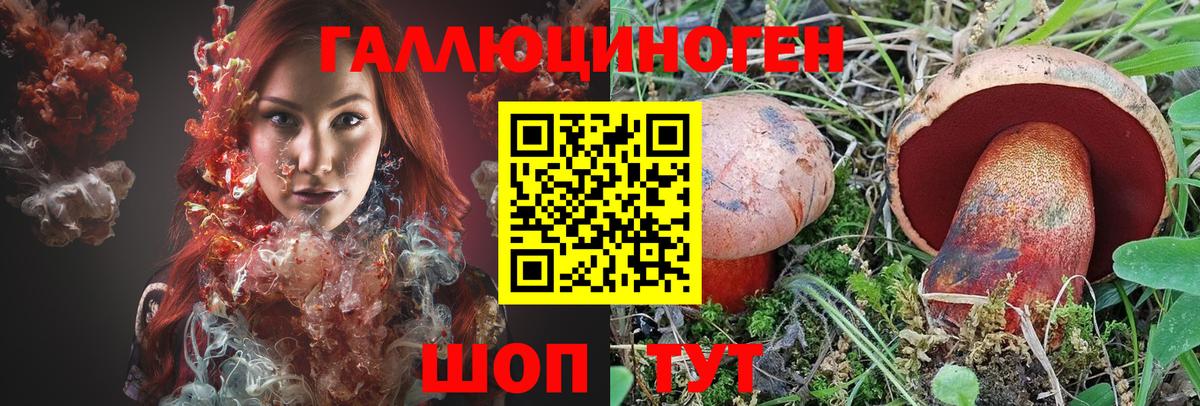 Шахты  Галлюциногенные грибы прущие грибы  Вход с VPN 
