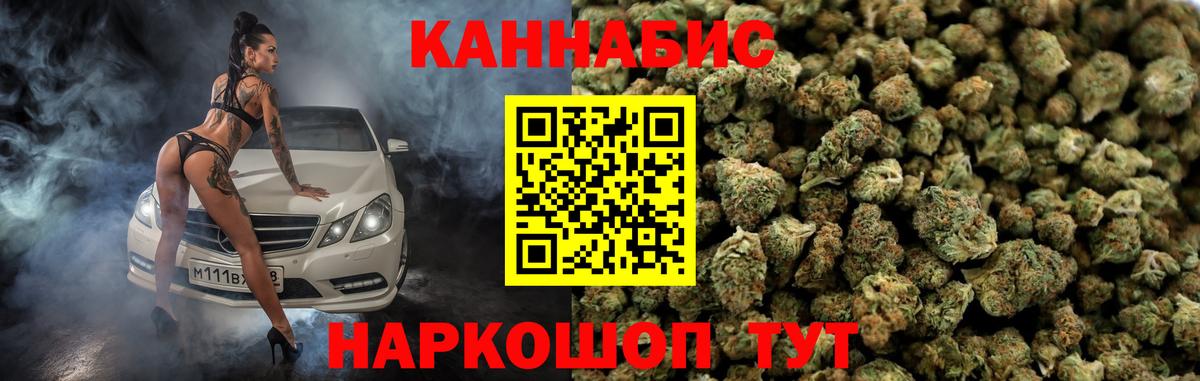Марихуана сатива Шахты